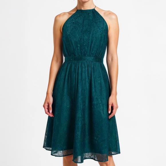 Dress the Population. New! Green Lace Halter Midi Dress. - Picture 1 of 12